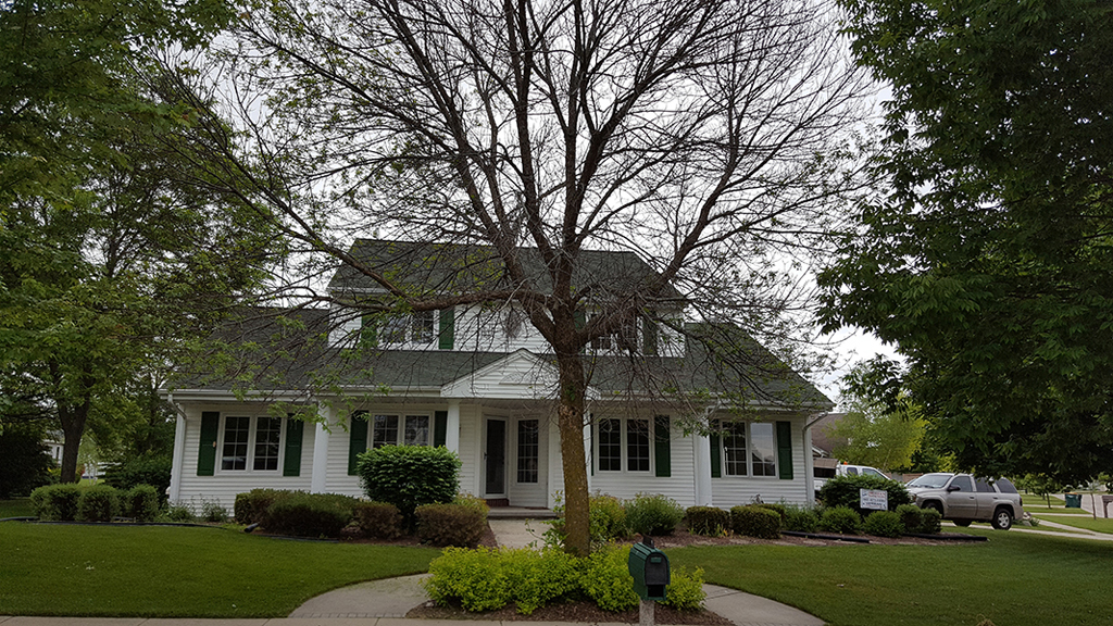 Home - WI Tree Service
