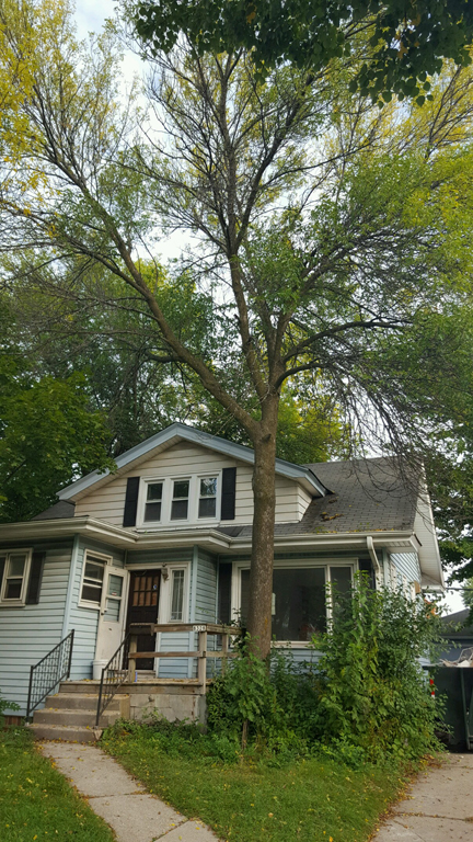 Home - WI Tree Service